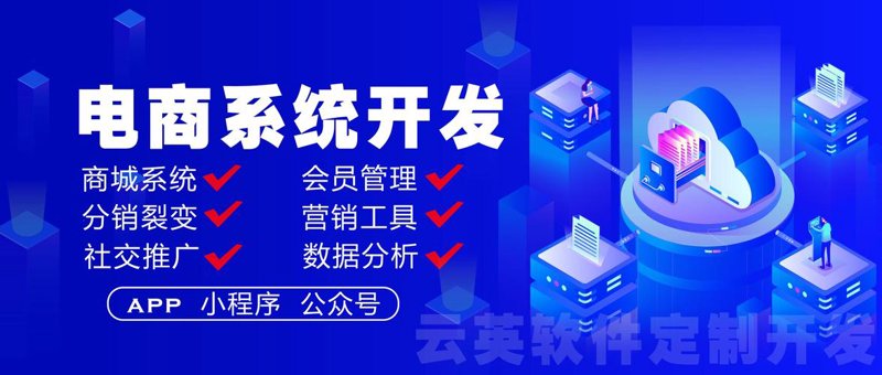 企业电商平台建设成现代商业模式转型的加速器